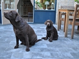 samen met mama in de tuin